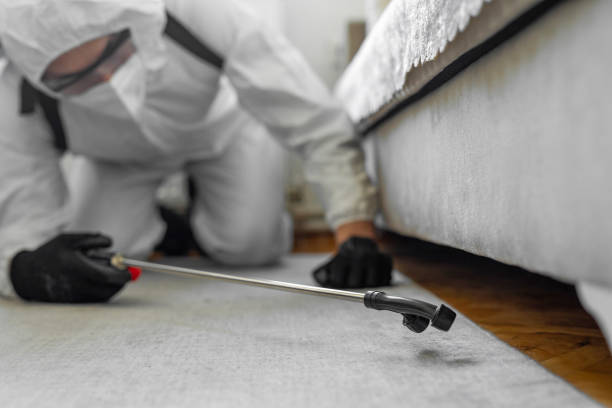 Professional Bed Bug Control technician working in St. James Parish County, LA